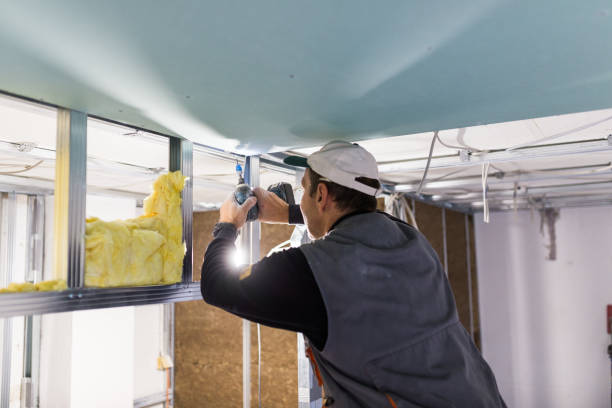 Best Geographic-Specific Insulation Services in Naval Academy, MD