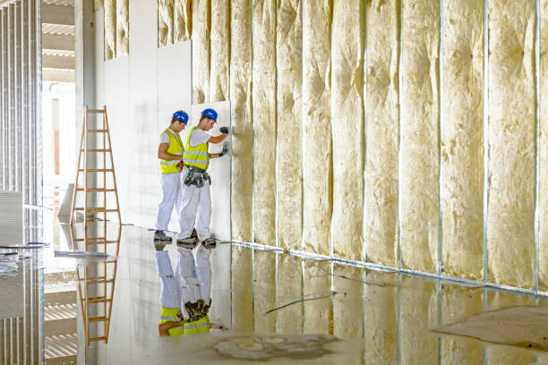 Types of Insulation We Offer in Naval Academy, MD